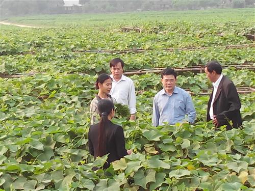 Hội Hòa Bình hưởng ứng tháng hành động vì an toàn thực phẩm năm 2015